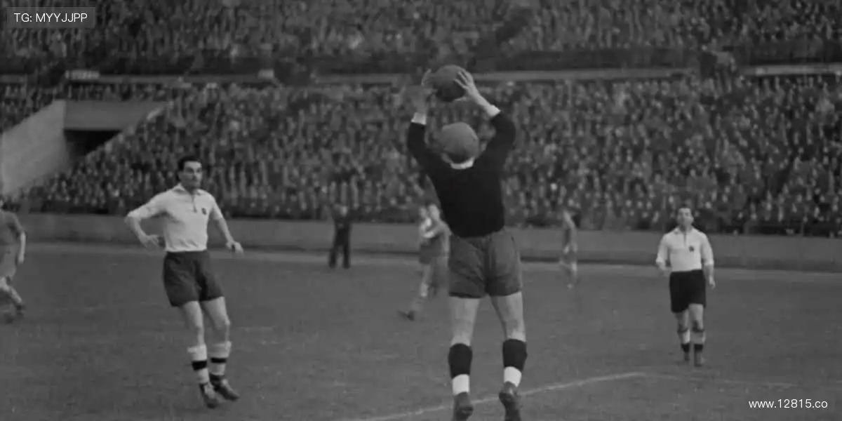 影院体验,尽在指尖!📱🌟